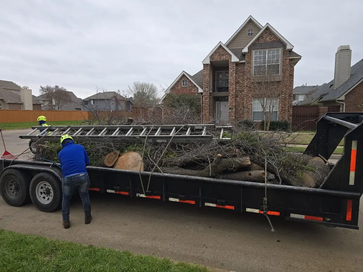 Expert Tree Pest Control with proper safety equipment in Roswell